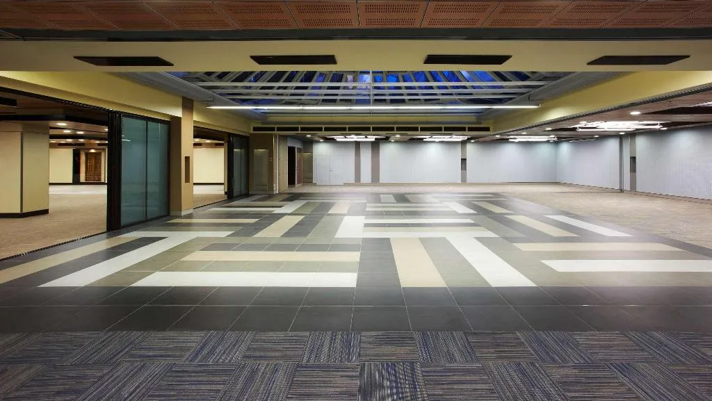 Conferences, Melia Castilla, Madrid