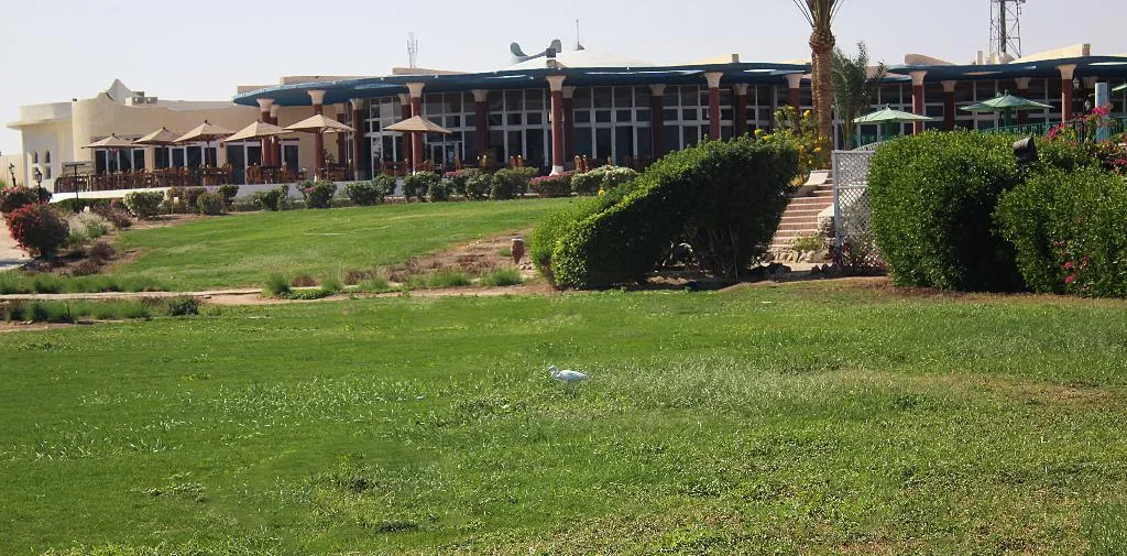 Terrace, Magawish Village & Resort, Red Sea Riviera