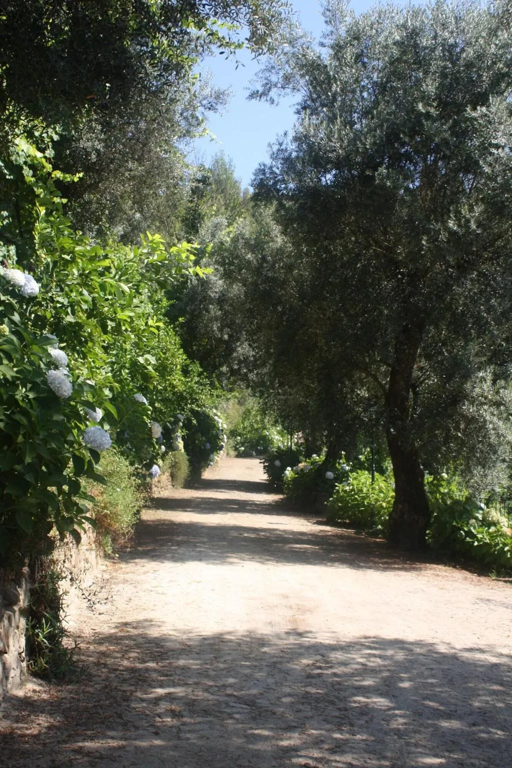 General view, Quinta Das Escomoeiras, Porto