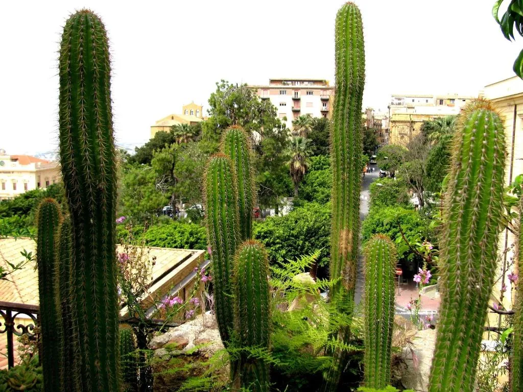 General view, Bed And Breakfast Le Palme, Catania