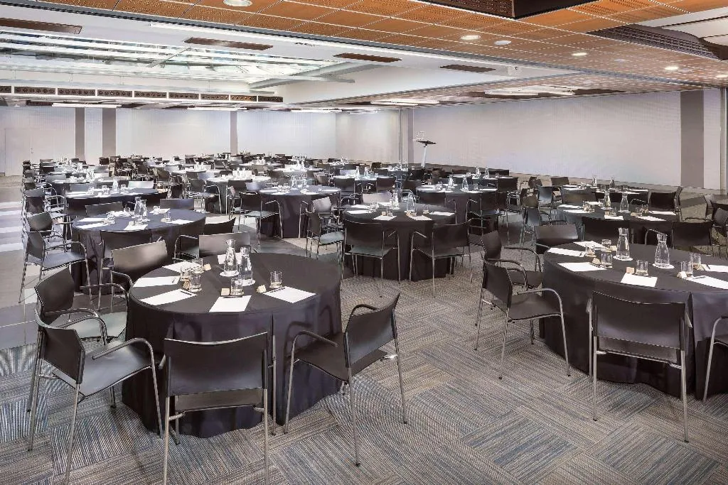 Conferences, Melia Castilla, Madrid