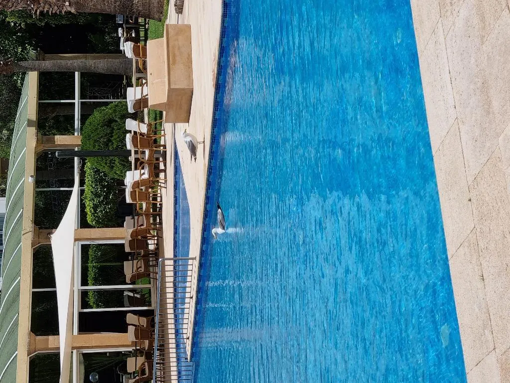 Pool, El Oumnia Puerto, Tangier
