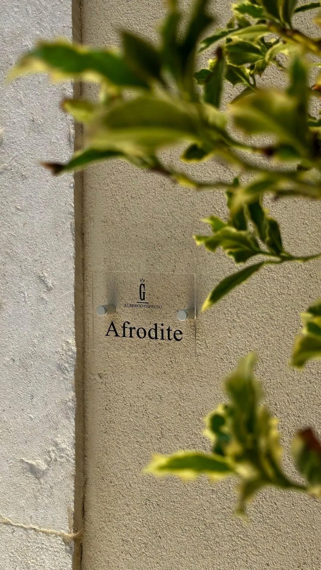 Room, Ginevra Boutique Rooms, Rome