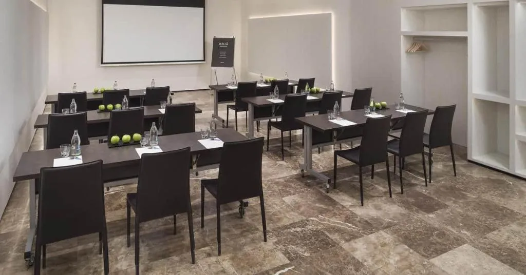 Conferences, Melia Lebreros, Seville