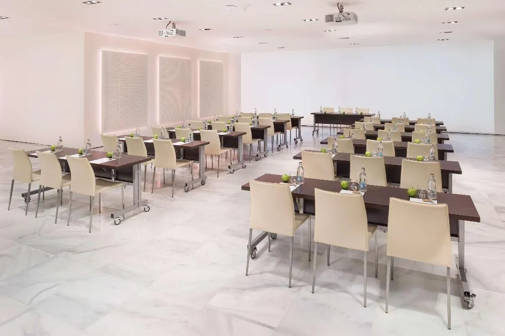 Conferences, Melia Lebreros, Seville
