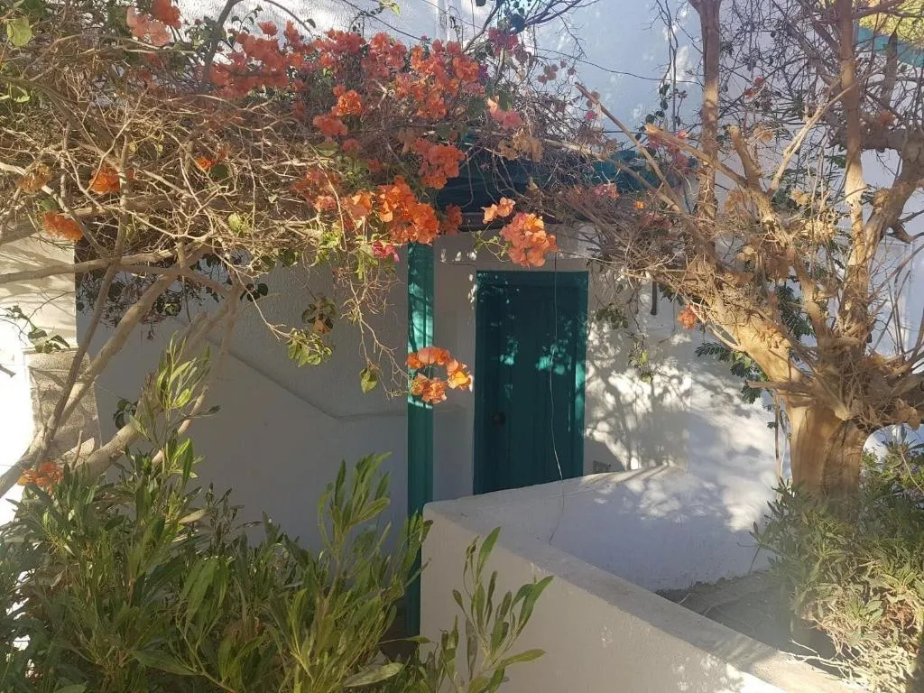 Room, Lilly Rooms And Studios, Red Sea Riviera