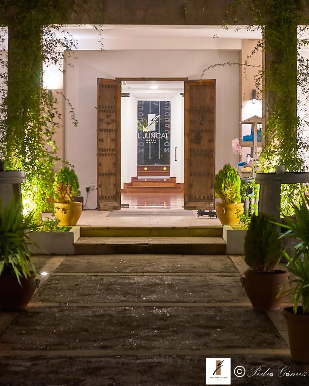 Terrace, Hotel Bodega El Juncal, Costa Del Sol