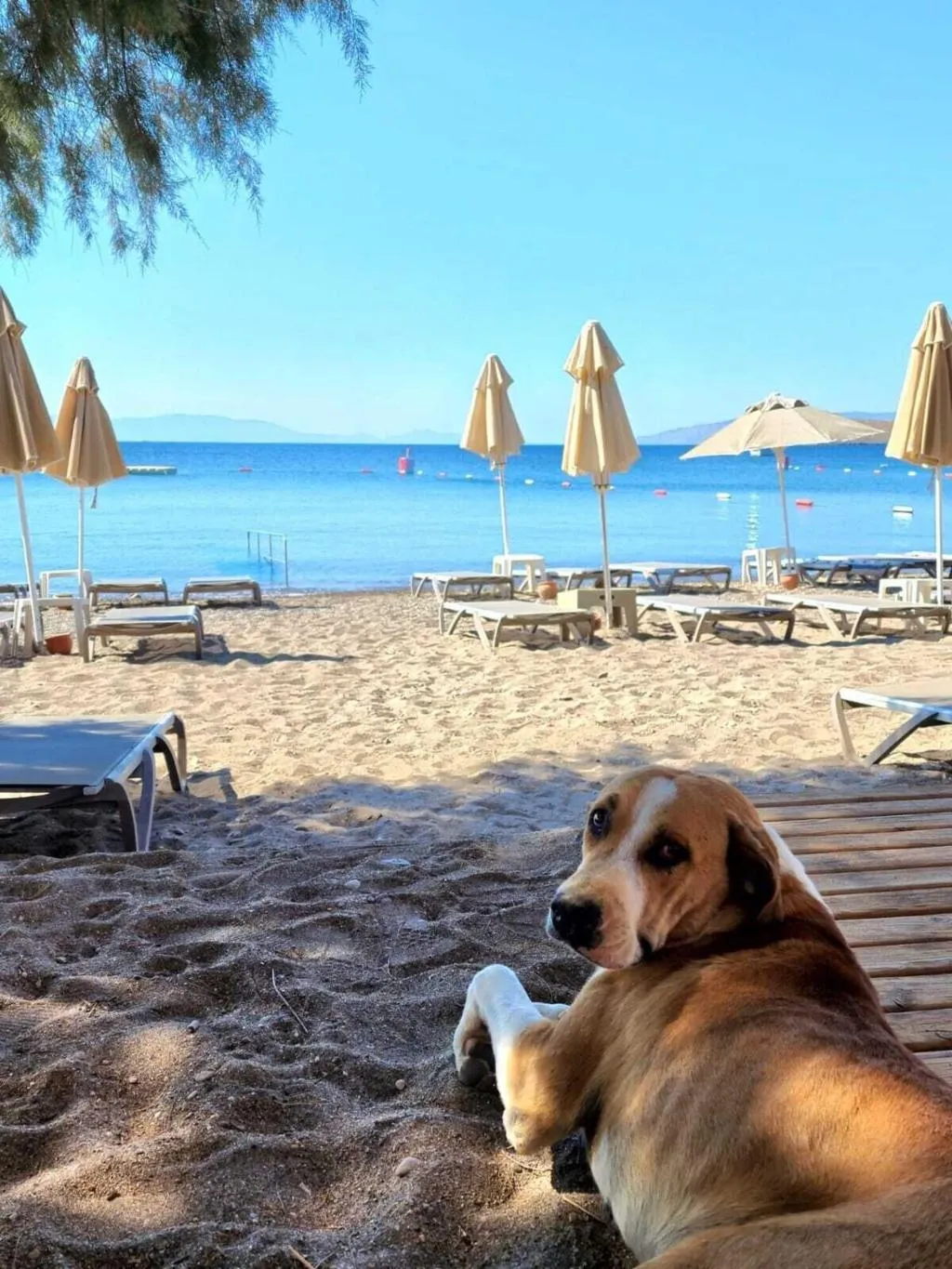 General view, Kefi Beach And Suites, Bodrum