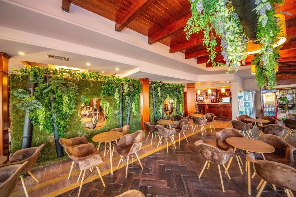 Bar, Hotel Majestic, Durres