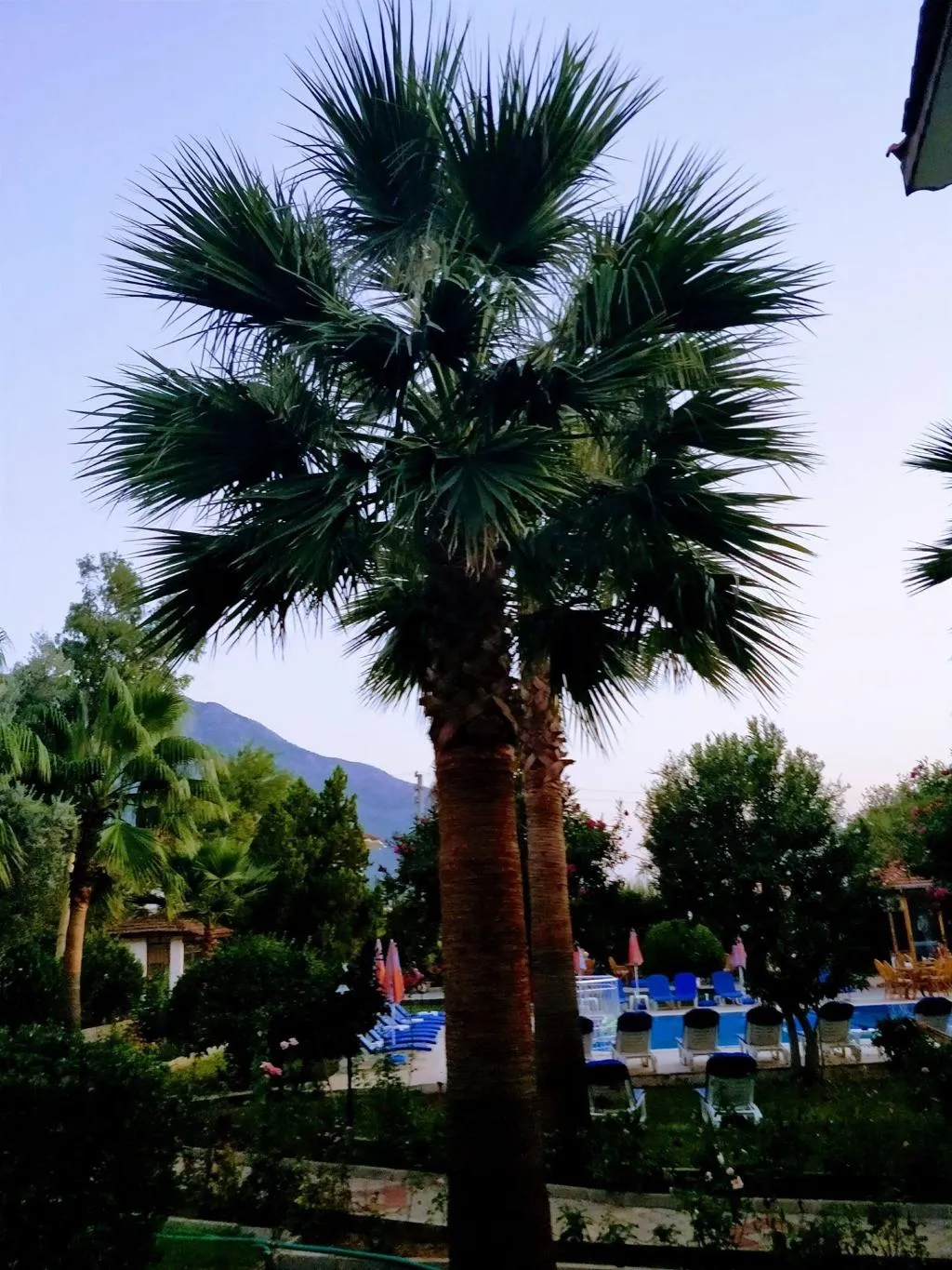 Lobby, Gorkem Hotel & Apartments, Dalaman