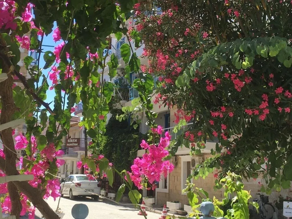 General view, Melaike, Izmir