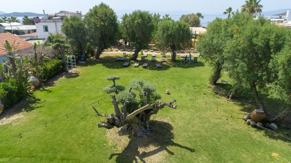 General view, Kefi Beach And Suites, Bodrum