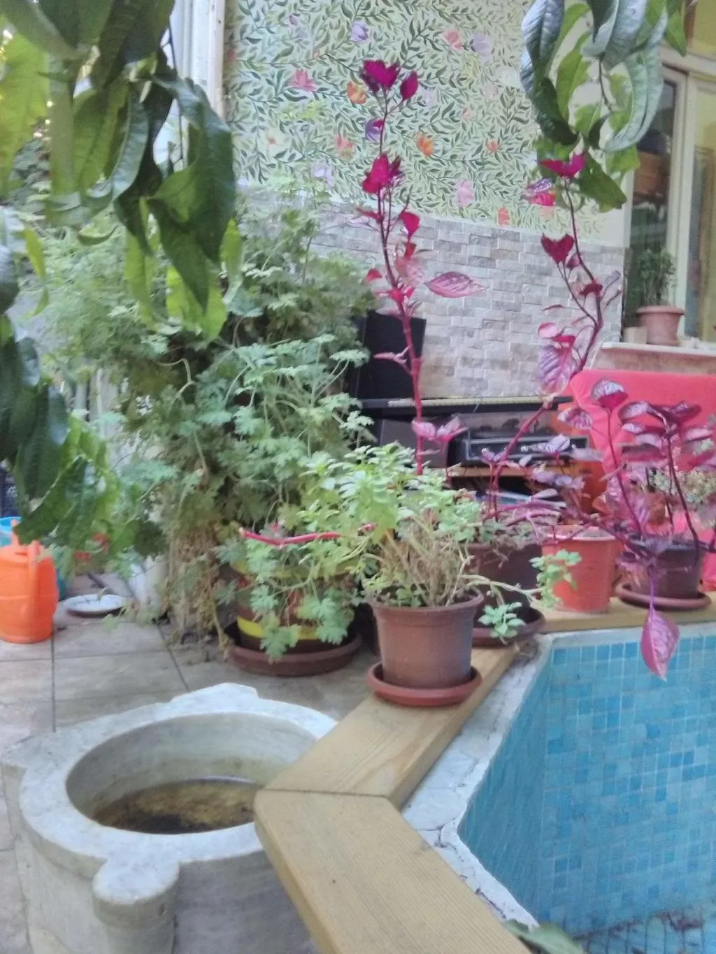 General view, Lotus Garden Hostel, Izmir