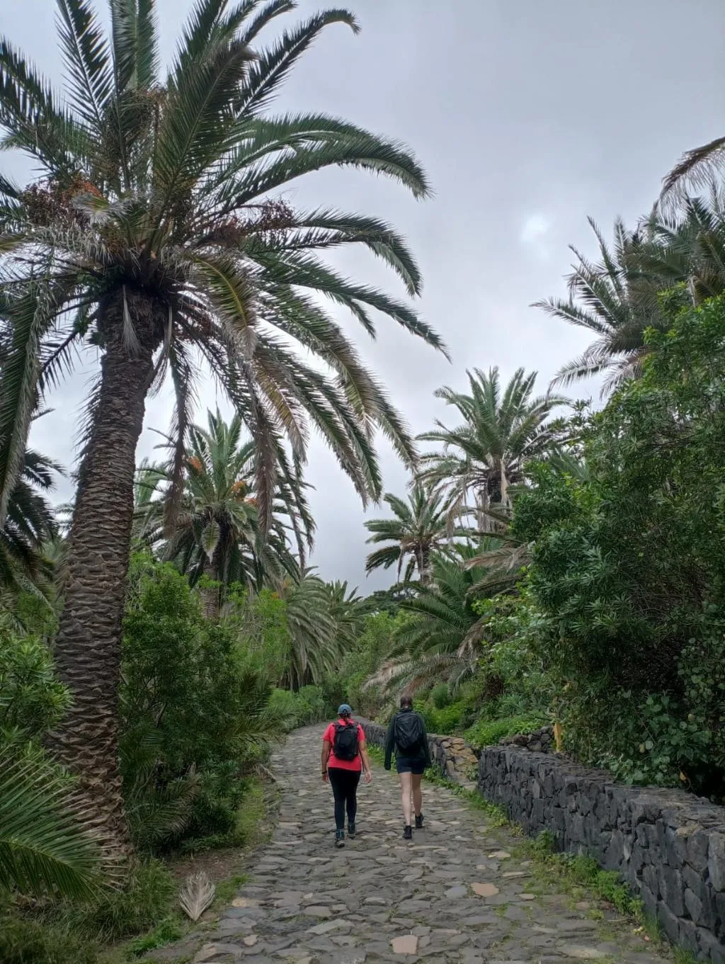 Sports and Entertainment, Puerto Nest Hostel, Tenerife