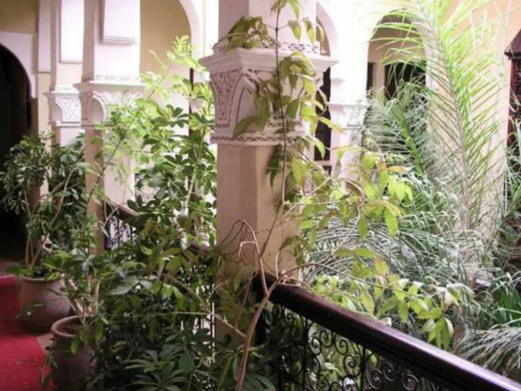 General view, Riad Dar Tuscia, Marrakech