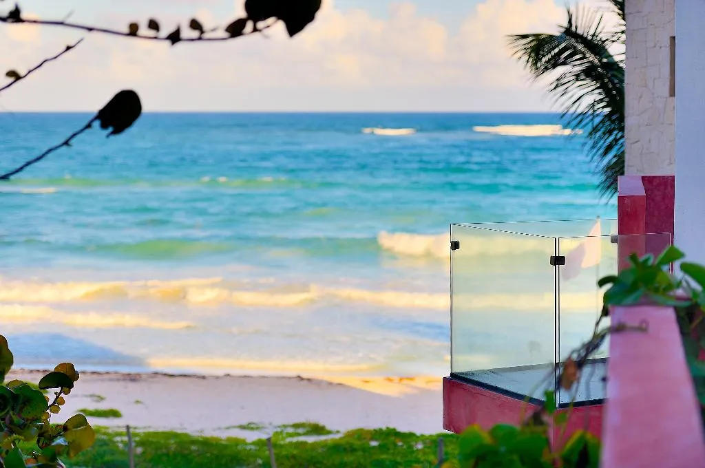 General view, Tago Tulum by G Hotels, Cancun Area