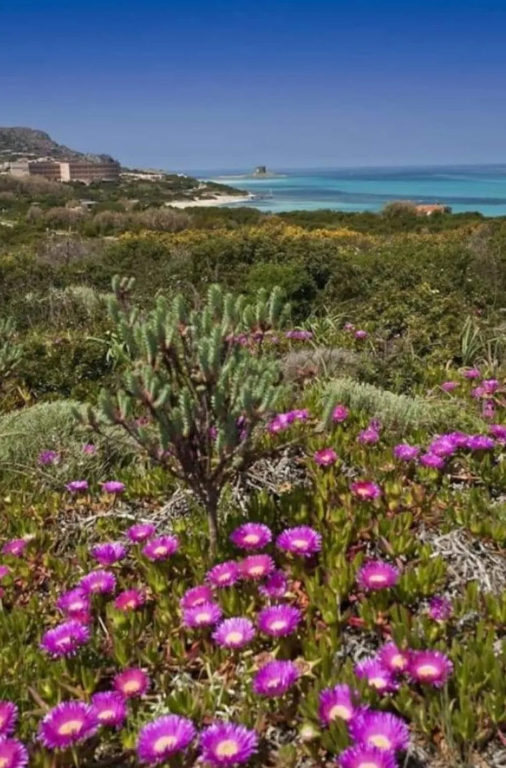 Beach, Cala Reale, Cagliari