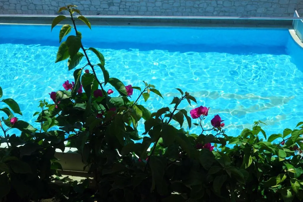 Sports and Entertainment, Zest Exclusive Hotel And Spa, Bodrum
