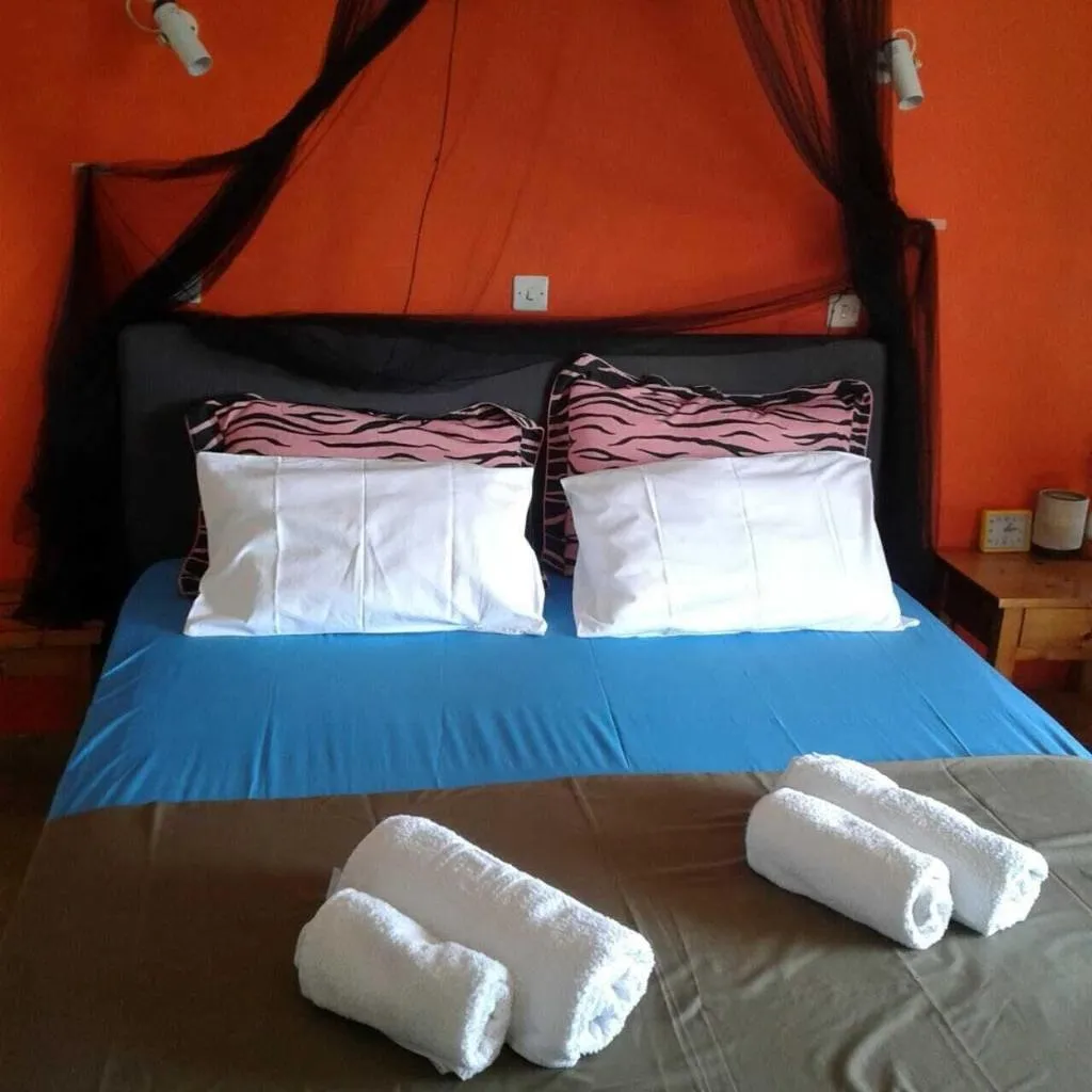 Room, Art Studios Benitses, Corfu