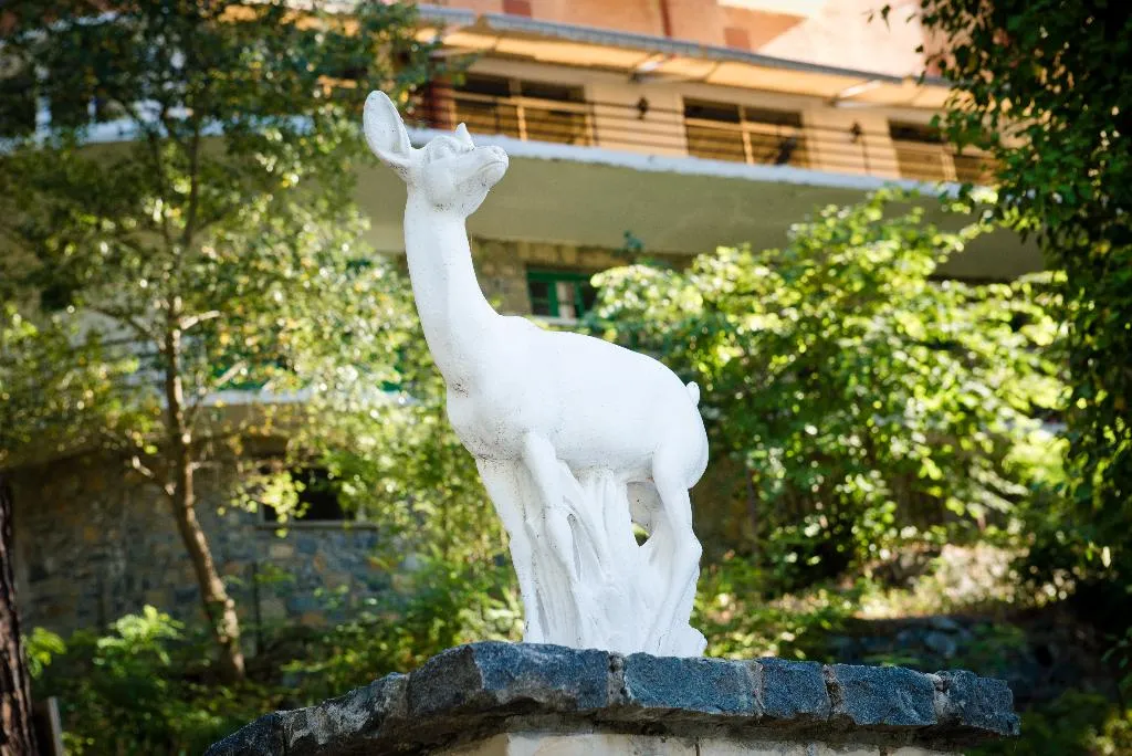 General view, Forest Park Hotel, Cyprus