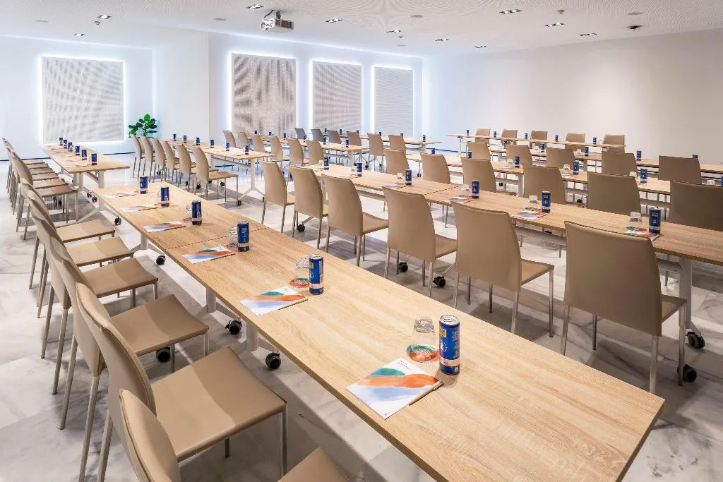 Conferences, Melia Lebreros, Seville
