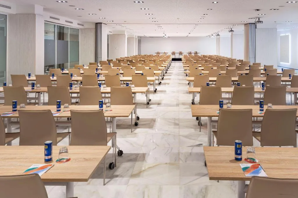 Conferences, Melia Lebreros, Seville