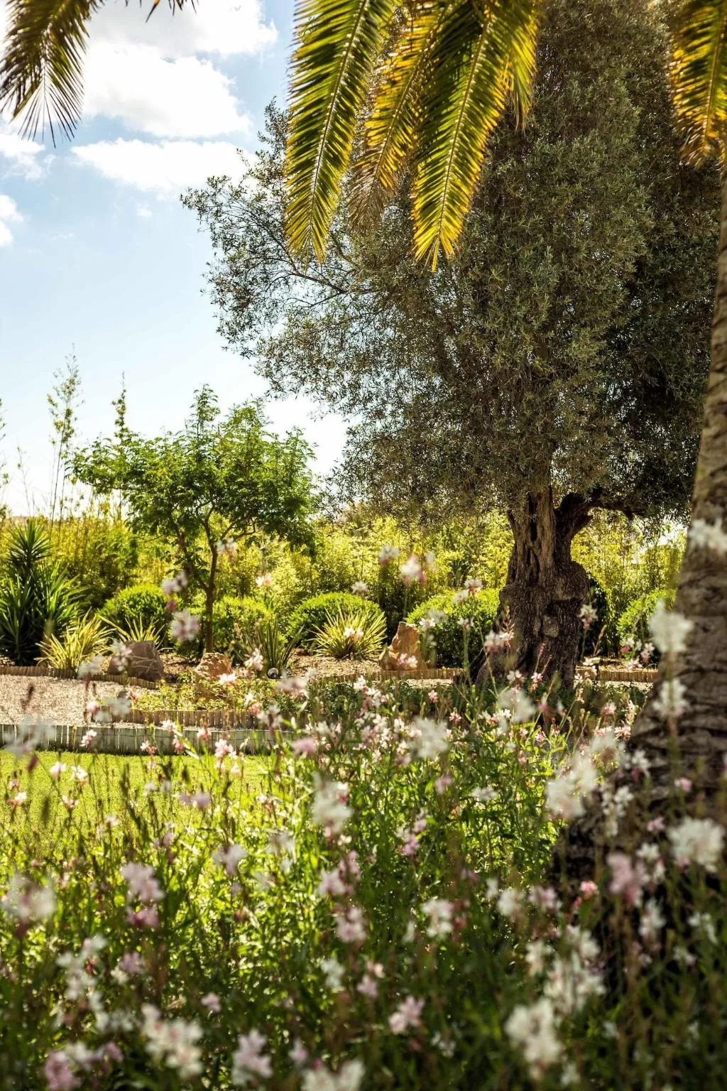General view, Boutique Hotel Ibizazen, Ibiza