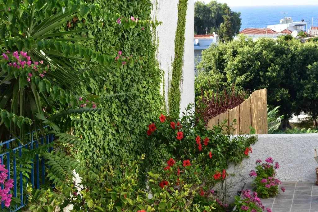 General view, Kasteli Studios & Apartments, Crete