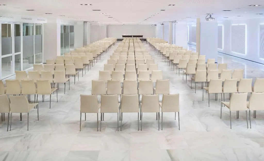 Conferences, Melia Lebreros, Seville