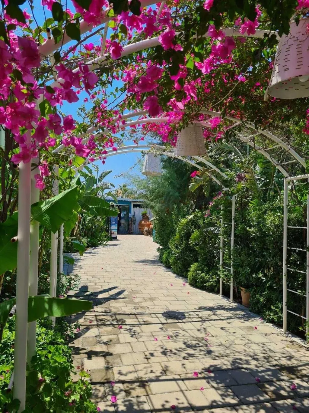 General view, Kefi Beach And Suites, Bodrum