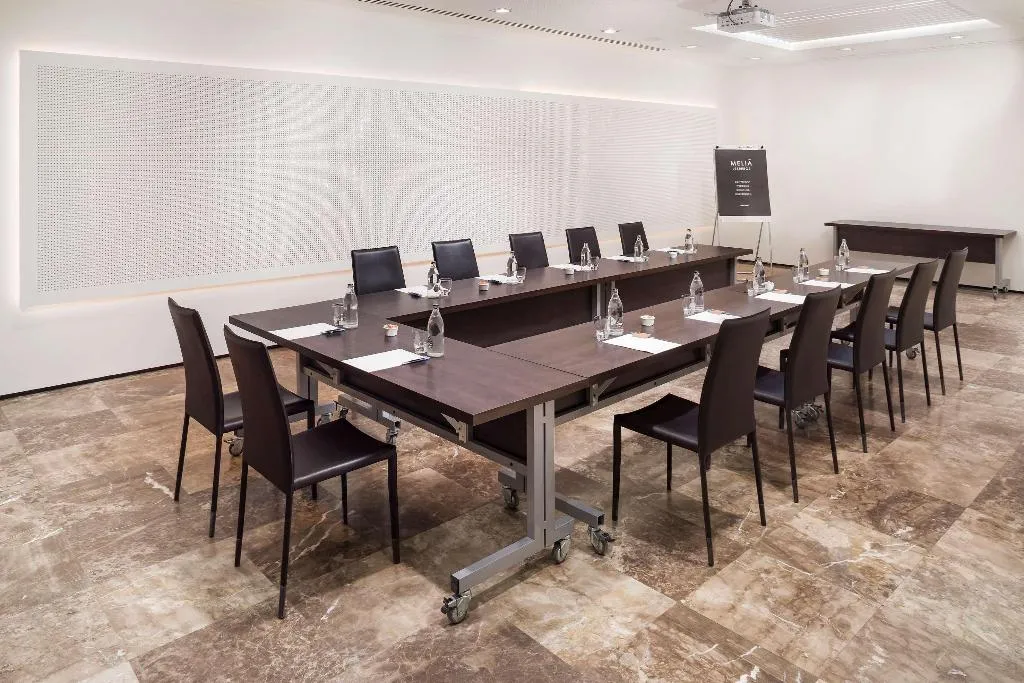 Conferences, Melia Lebreros, Seville