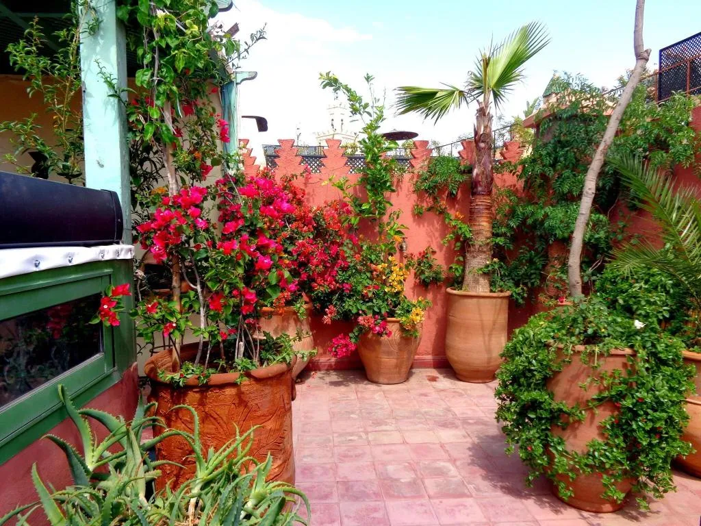 General view, Riad Sesame, Marrakech