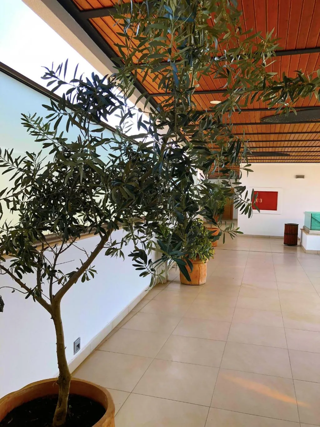 Lobby, Zest Exclusive Hotel And Spa, Bodrum