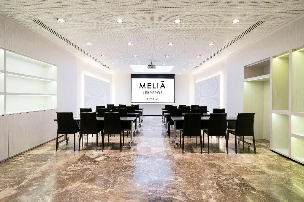 Conferences, Melia Lebreros, Seville
