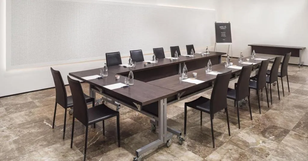 Conferences, Melia Lebreros, Seville