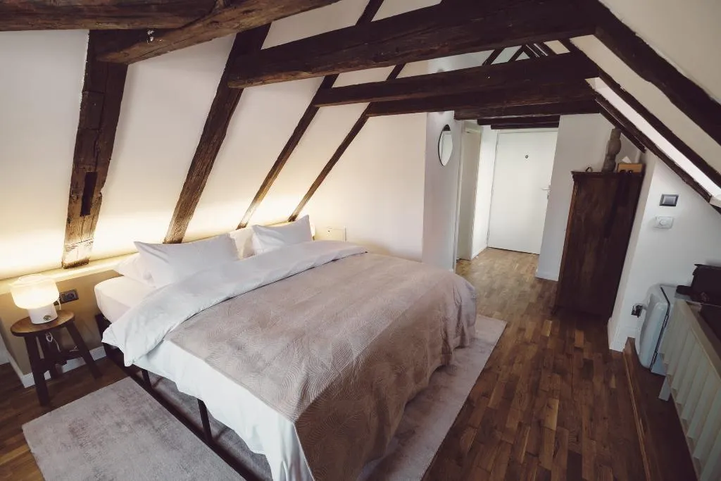 DOUBLE DELUXE Room, Domus Balthasar, Prague