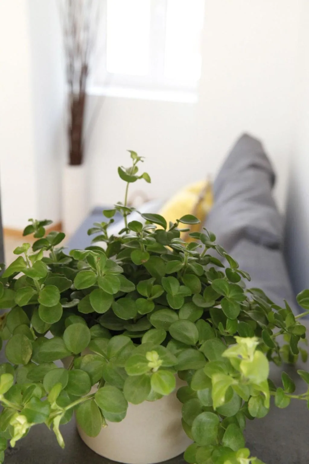 Room, Flores Guest House, Lisbon