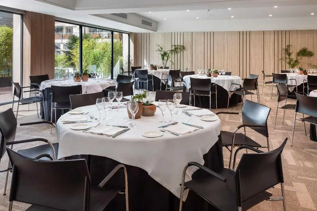 Conferences, Melia Castilla, Madrid