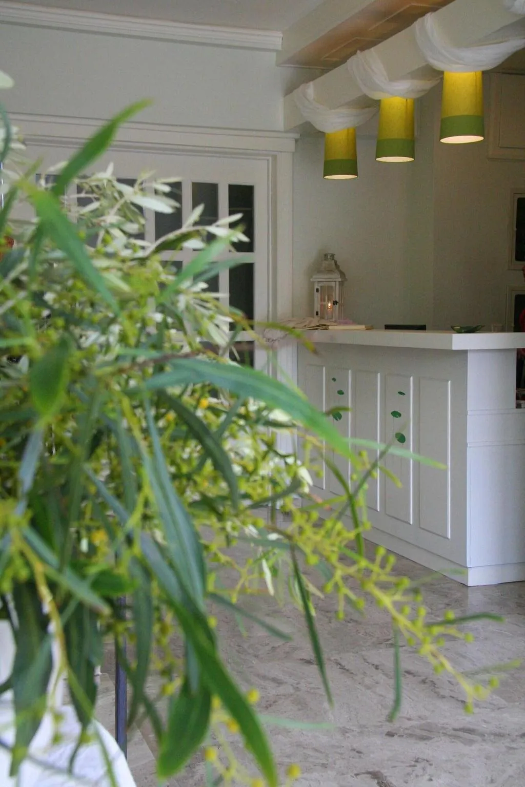 Lobby, Waterlily Hotel Apartments, Crete
