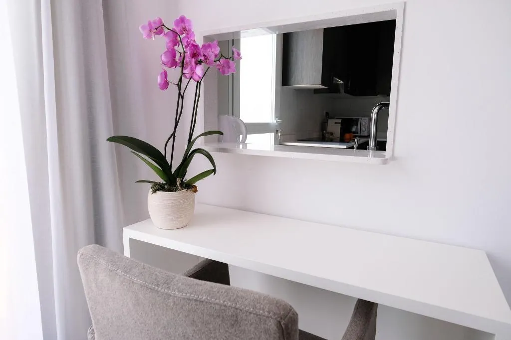Room, S'Alamera Suites Hotel & Apartments, Ibiza