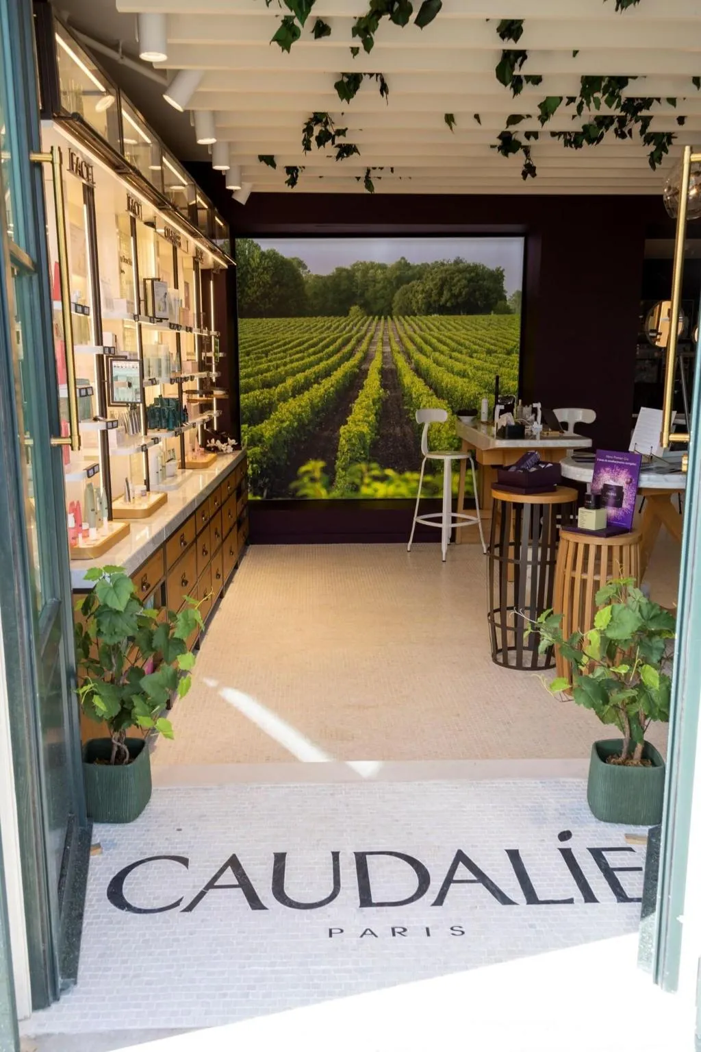 Sports and Entertainment, Palacio Ludovice Wine Experience Hotel, Lisbon