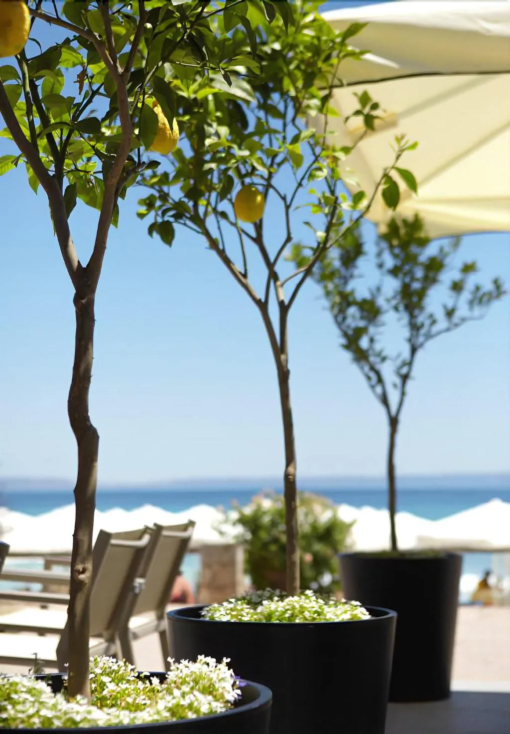 Terrace, Margarita Sea Side Hotel, Halkidiki