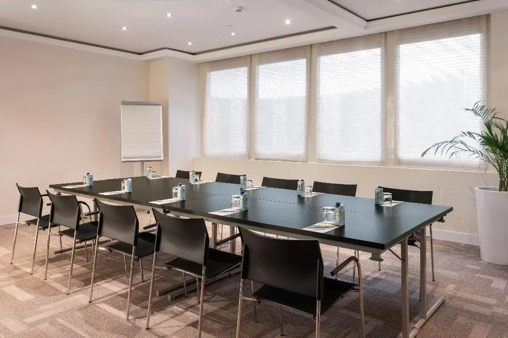 Conferences, Melia Castilla, Madrid