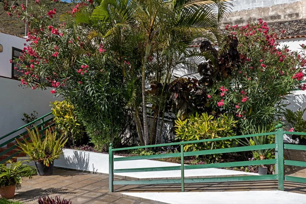 APARTMENT OCEAN VIEW Room, Sabinas & Terrazas Malpaís, Tenerife