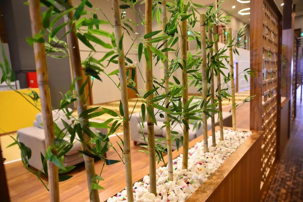 Room, Privado Hotels, Antalya