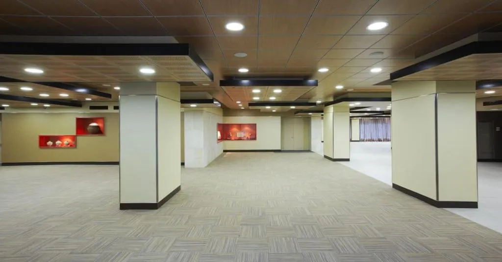 Conferences, Melia Castilla, Madrid