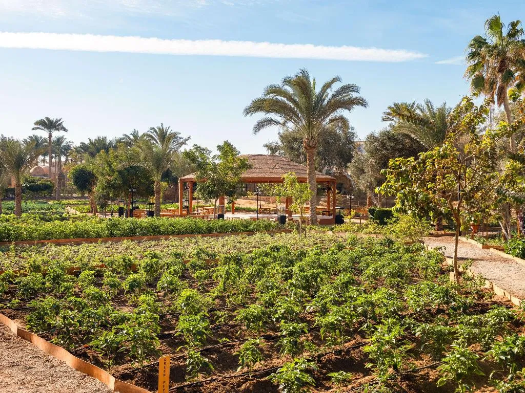 General view, Mövenpick Resort El Quseir, Red Sea Riviera