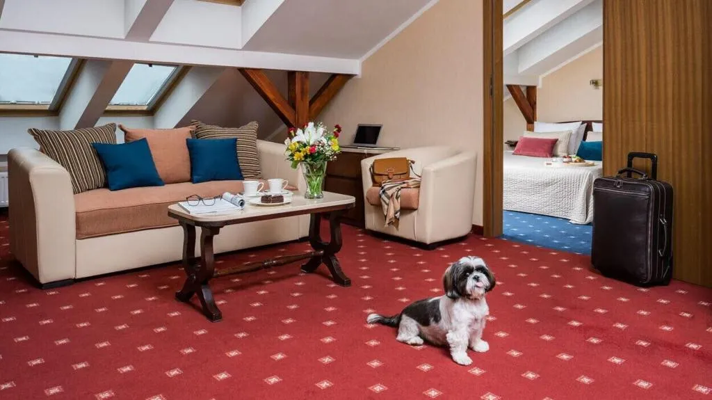 APARTMENT KING SIZE BED Room, Booking Hotel Crown Piast & Spa*****, Krakow