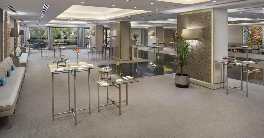 Conferences, Melia Castilla, Madrid
