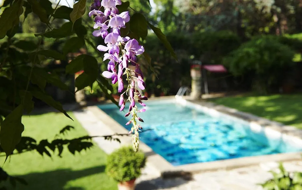 Pool, Park Palace Hotel, Florence